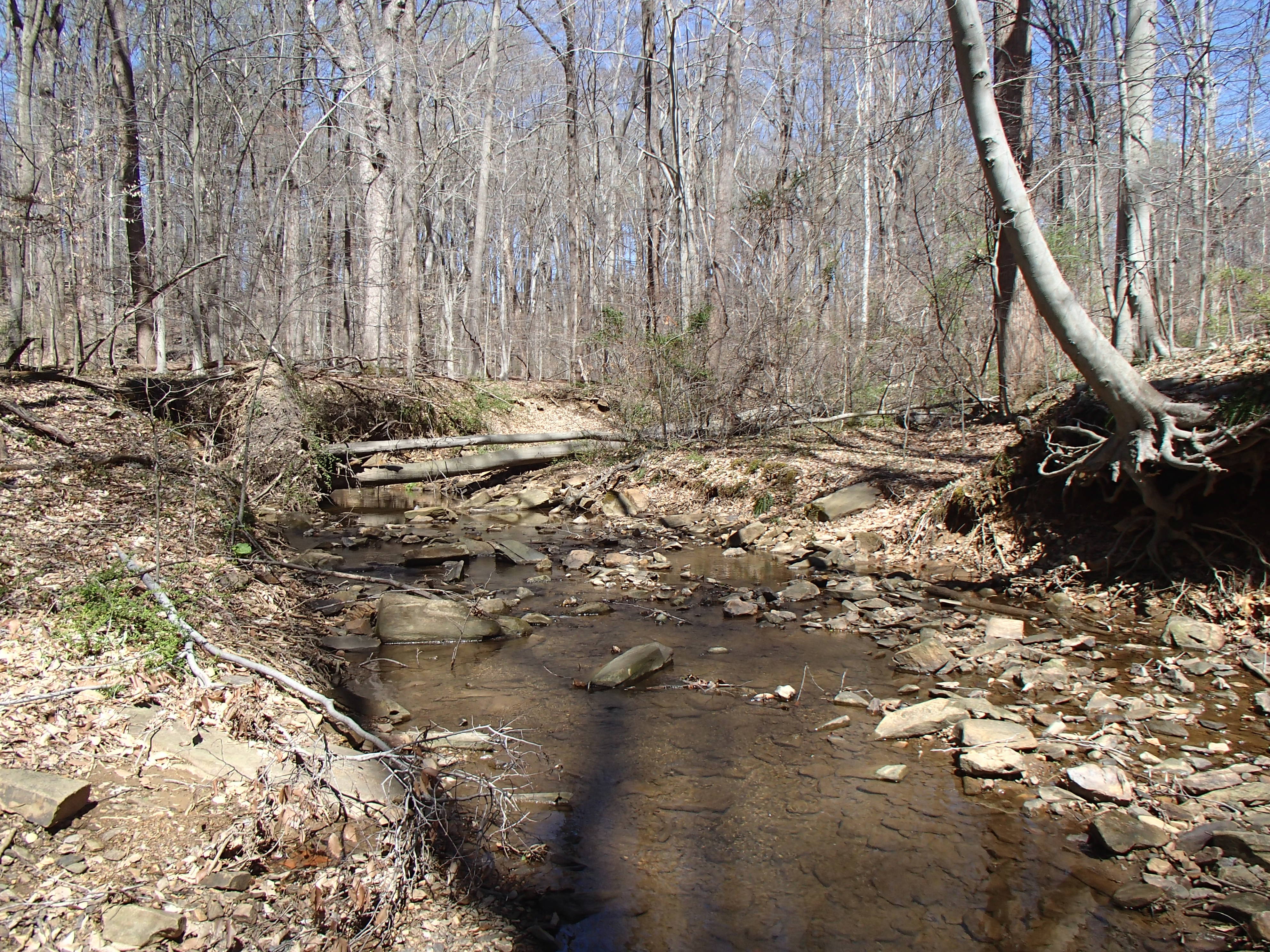 Field photo showing stream conditions at site ATKI-101-X-2016_Midpoint upstream